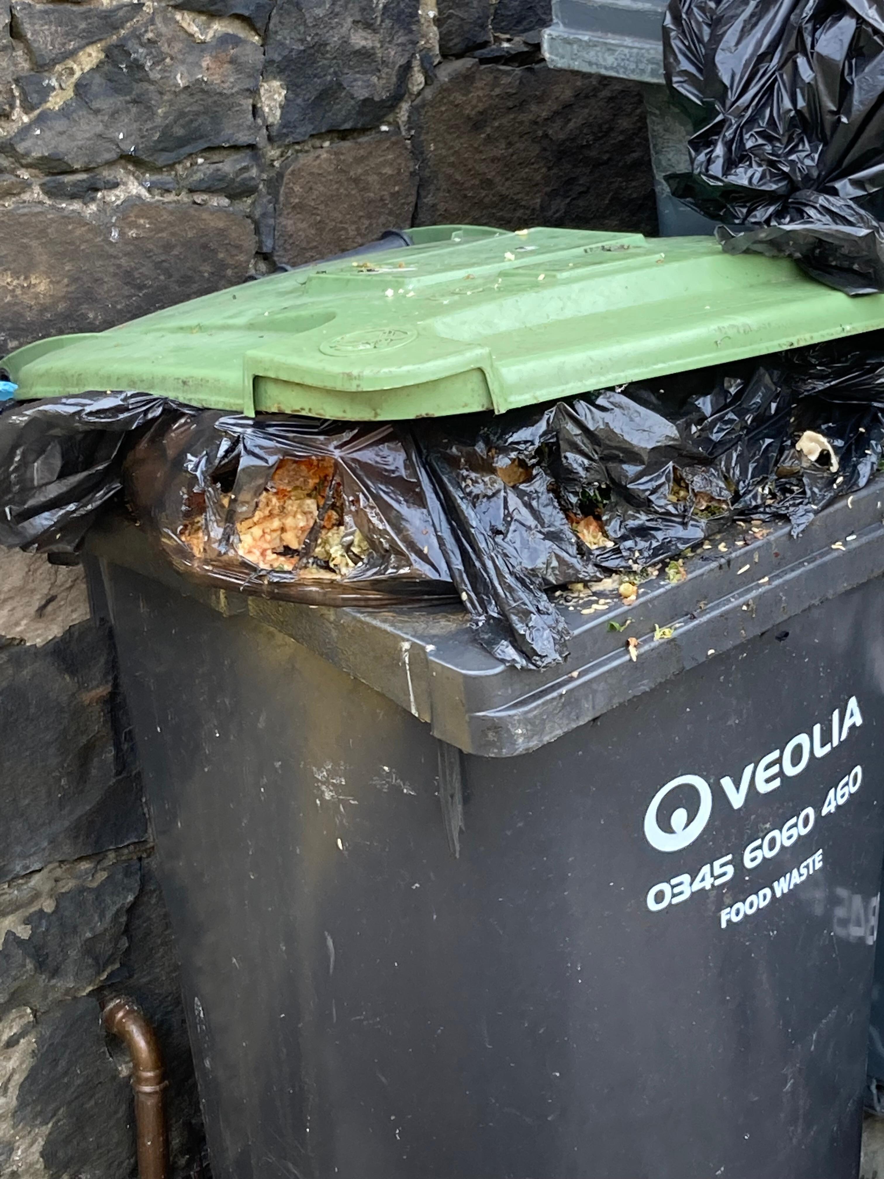 Garbage container by kitchen