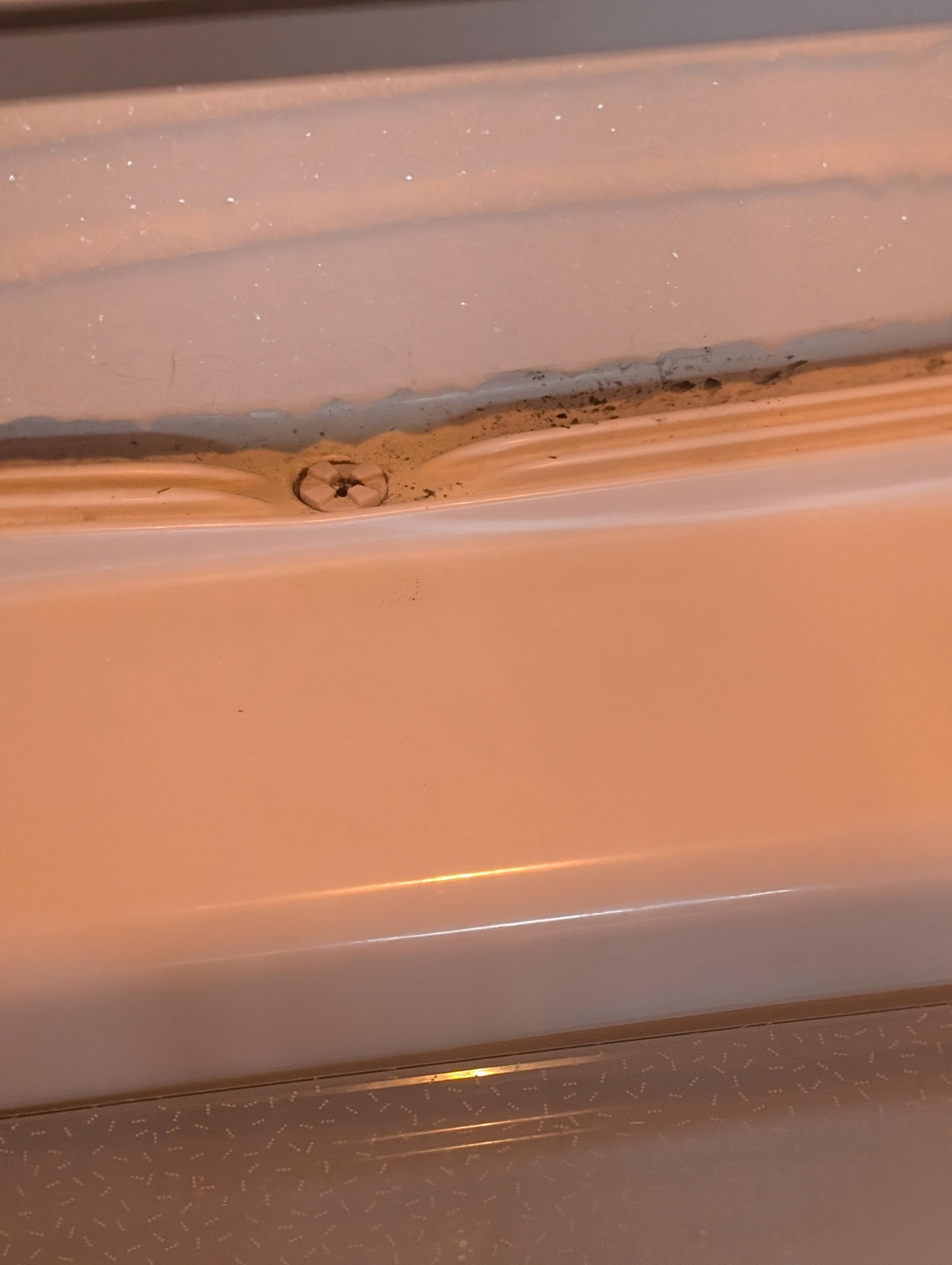 Mold in fridge