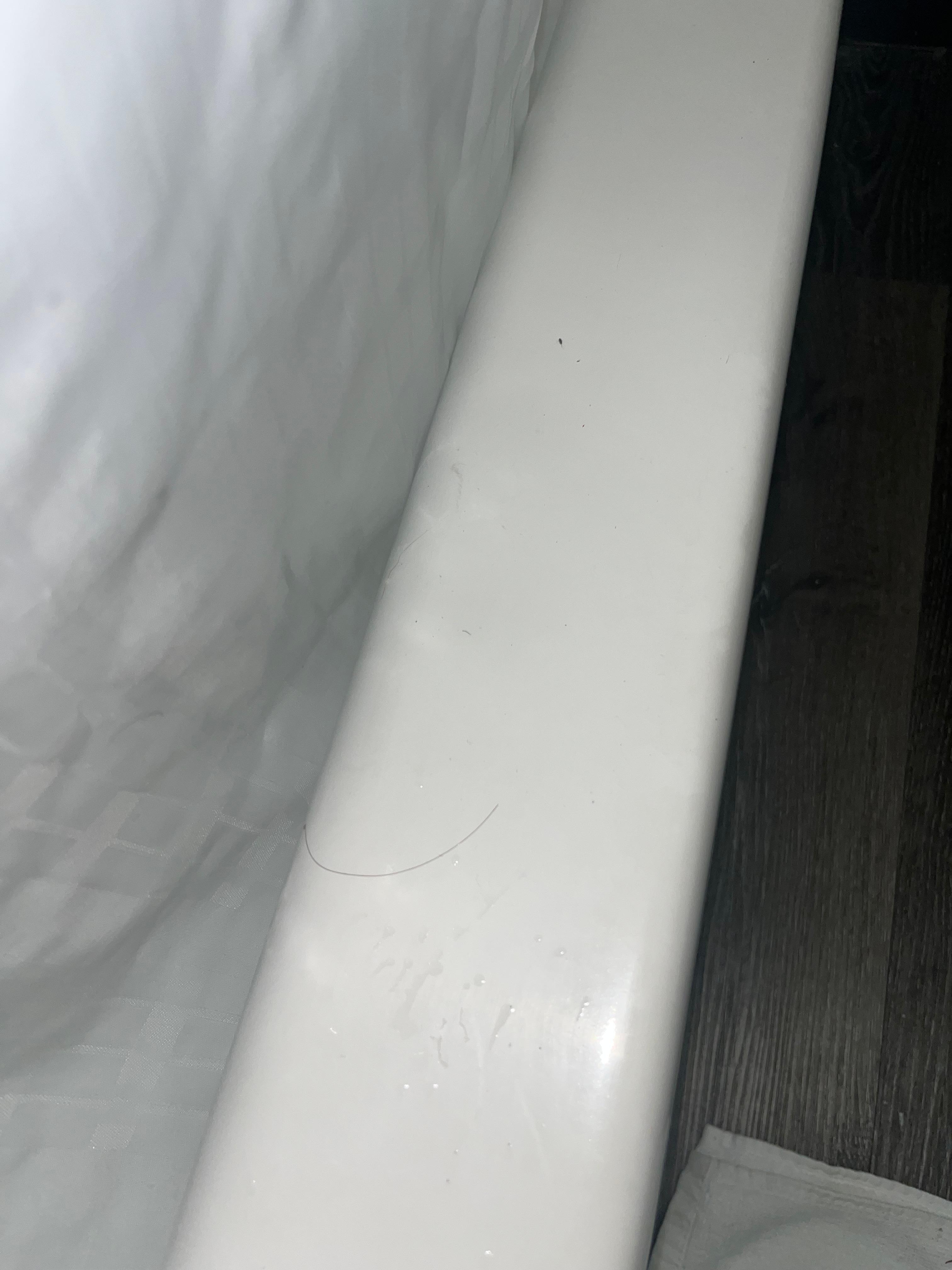 Hair that was found on the tub when I checked in.