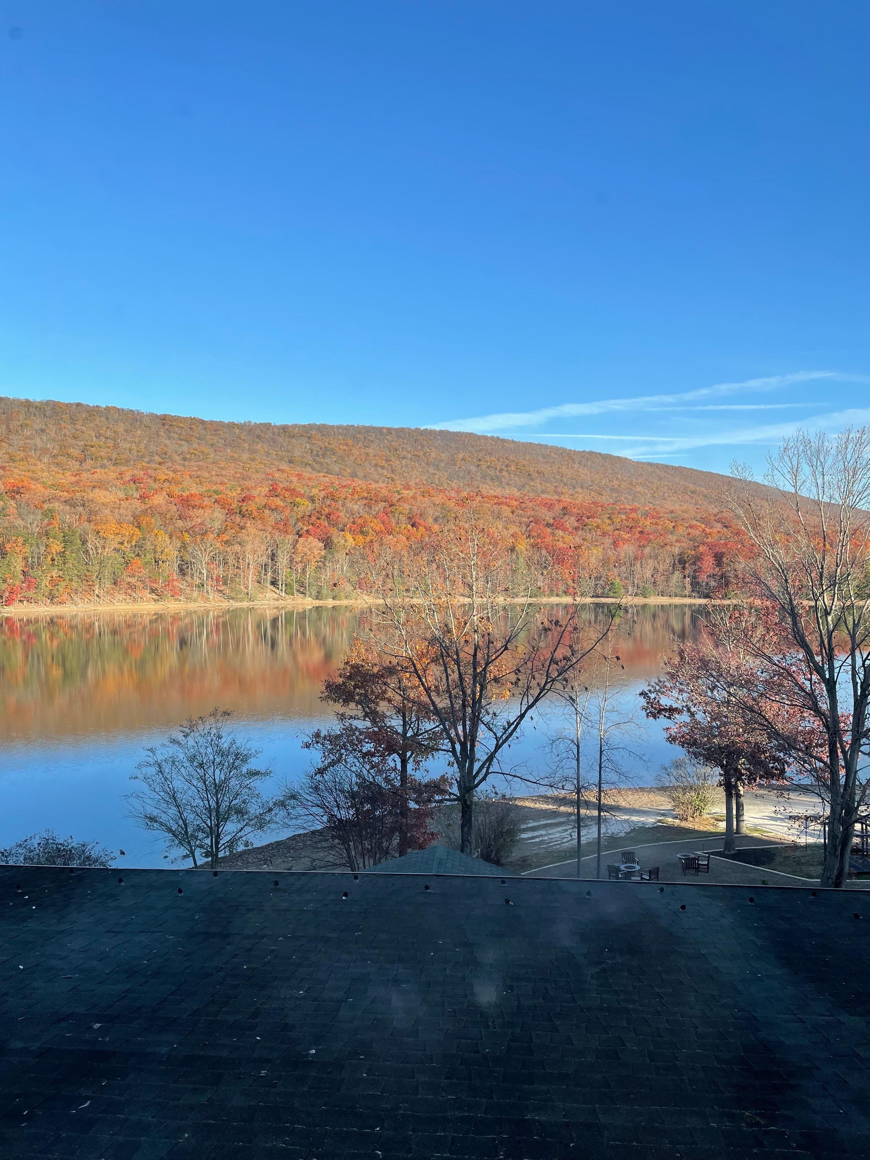 Beautiful fall colors 