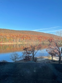 Beautiful fall colors