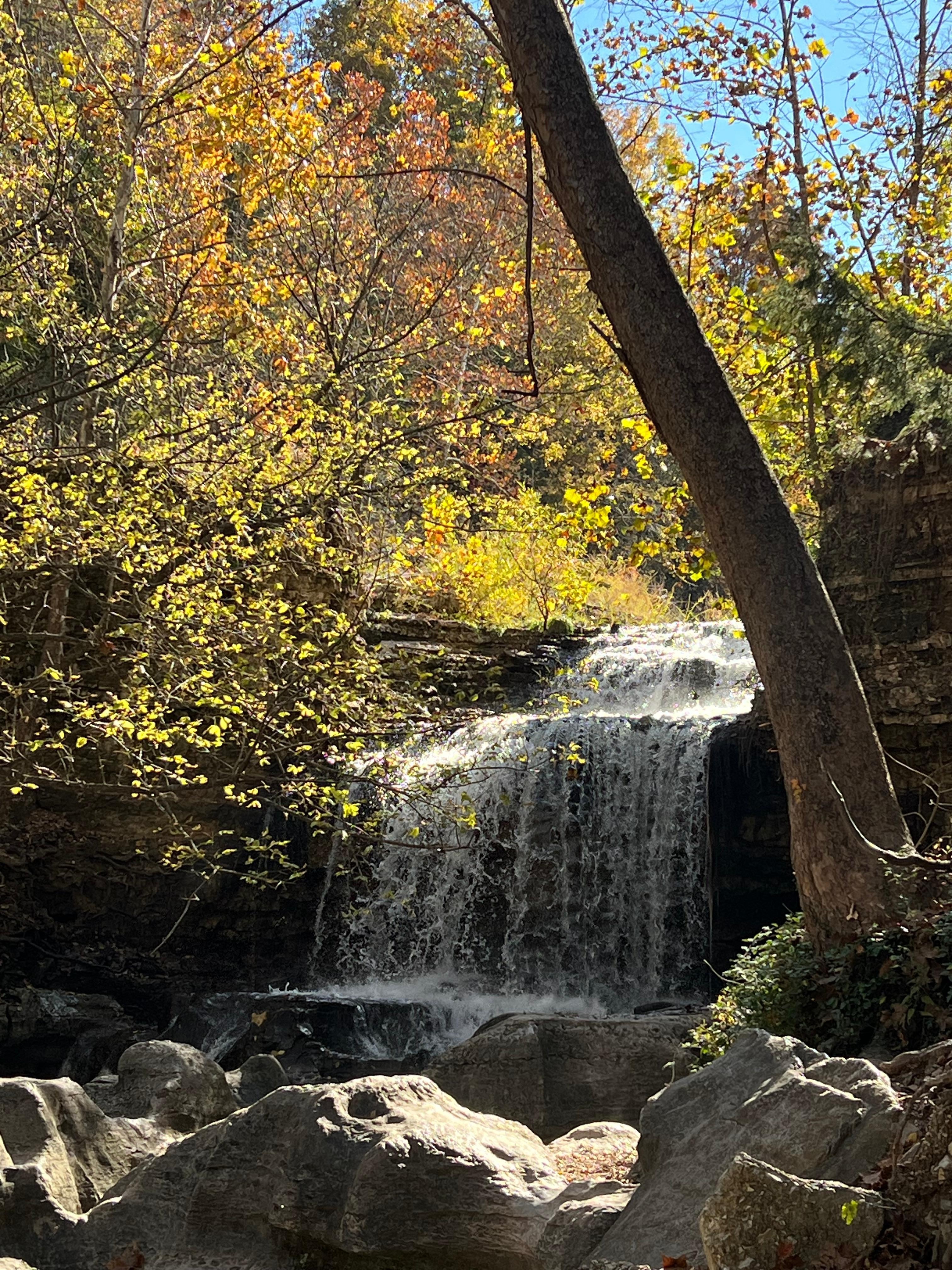 The Tanyard Creek Falls was exceptional! Thanks, Maria, for the recommendation.