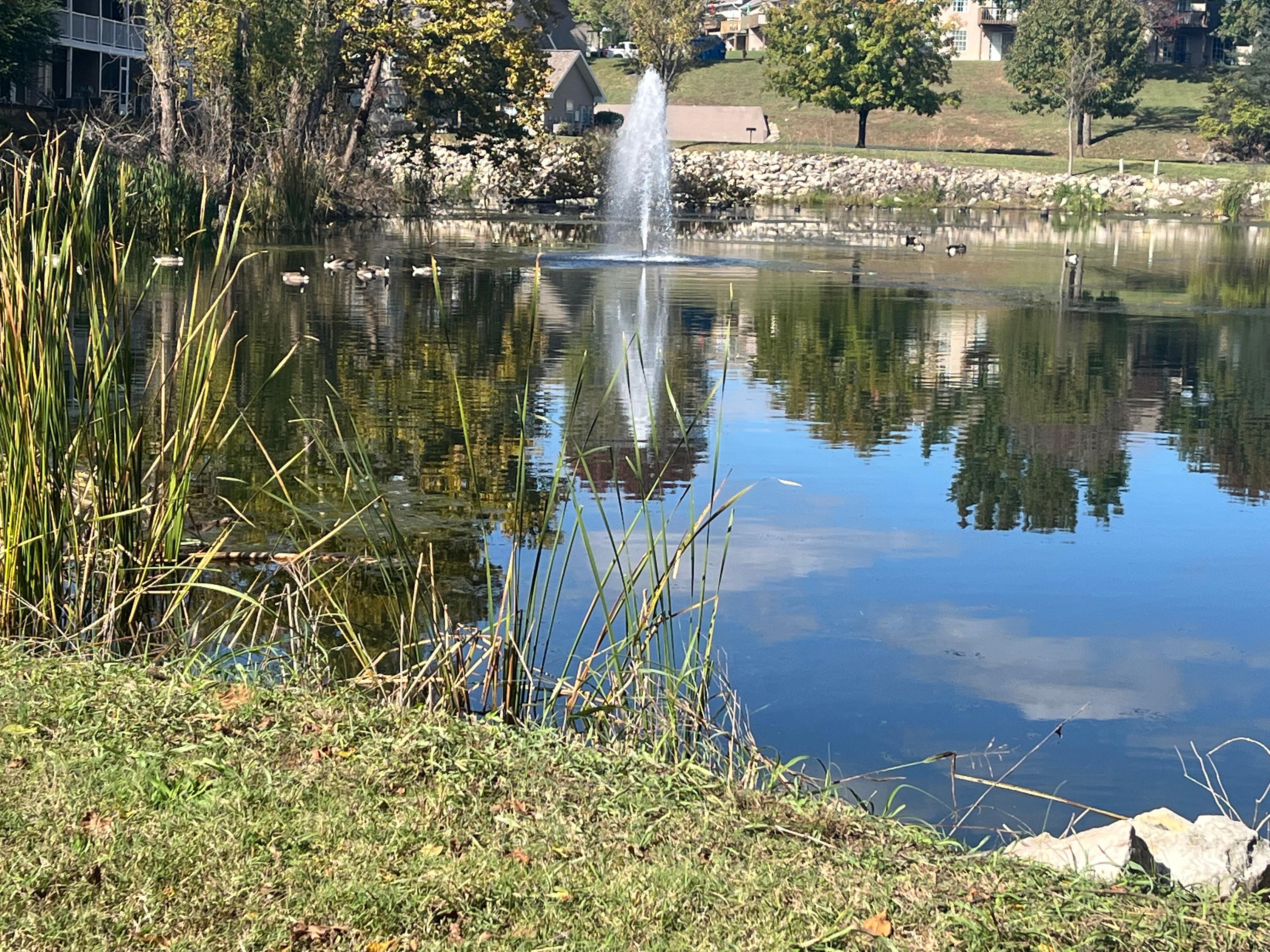 The pond behind the condo had a sweet little picnic table spot. We got to watch the geese and listen to the little waterfall. 