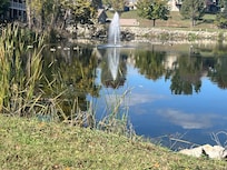The pond behind the condo had a sweet little picnic table spot. We got to watch the geese and listen to the little waterfall.