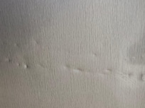 Dented frig