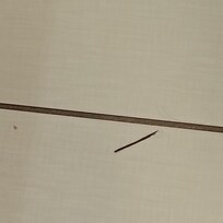 Dirt/ debris on bathroom floor
