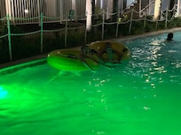 Night swimming in the lazy river was a nightly favorite.