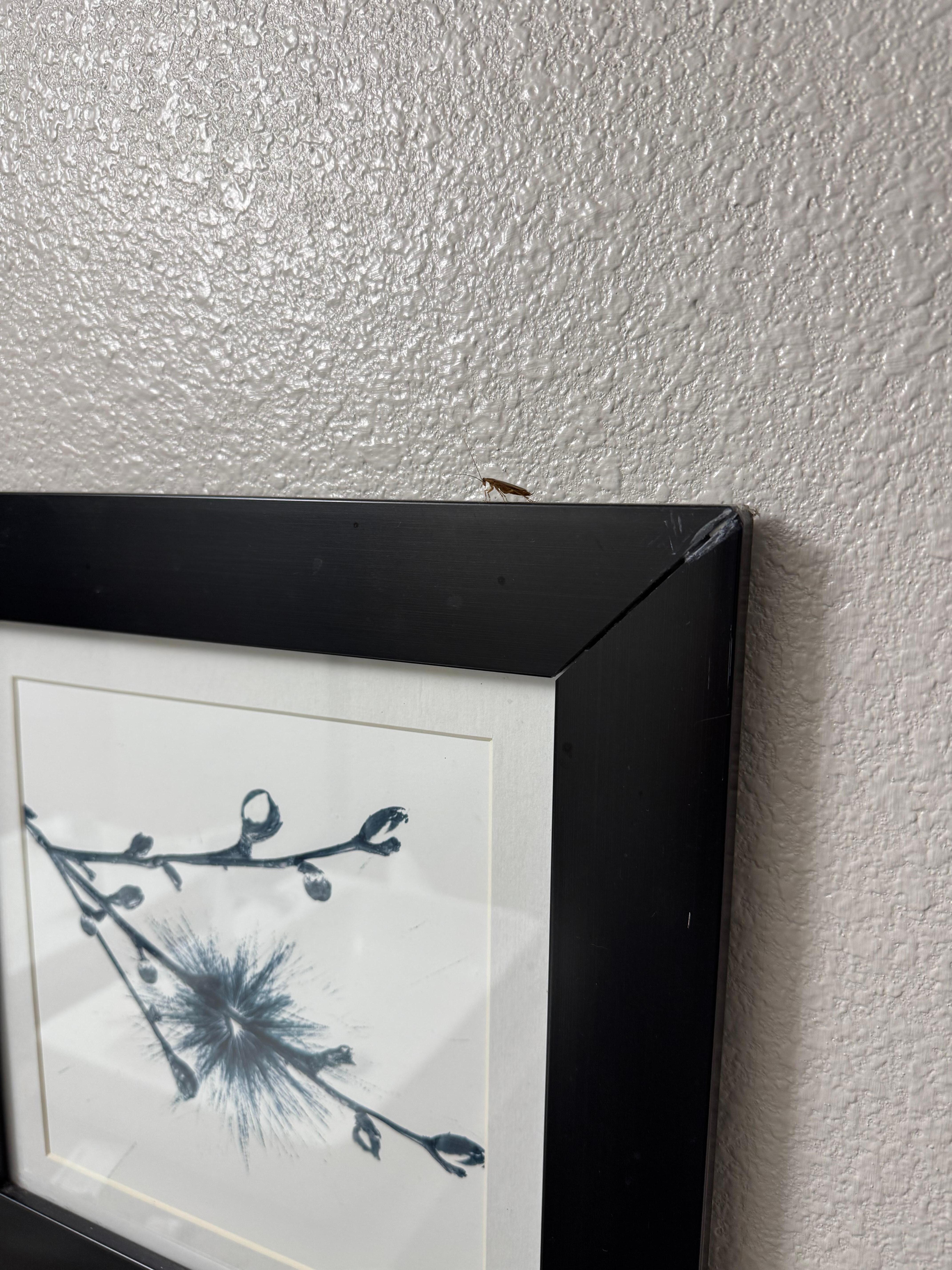 As you can see they have roaches 