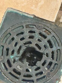 Desagües con mal olor