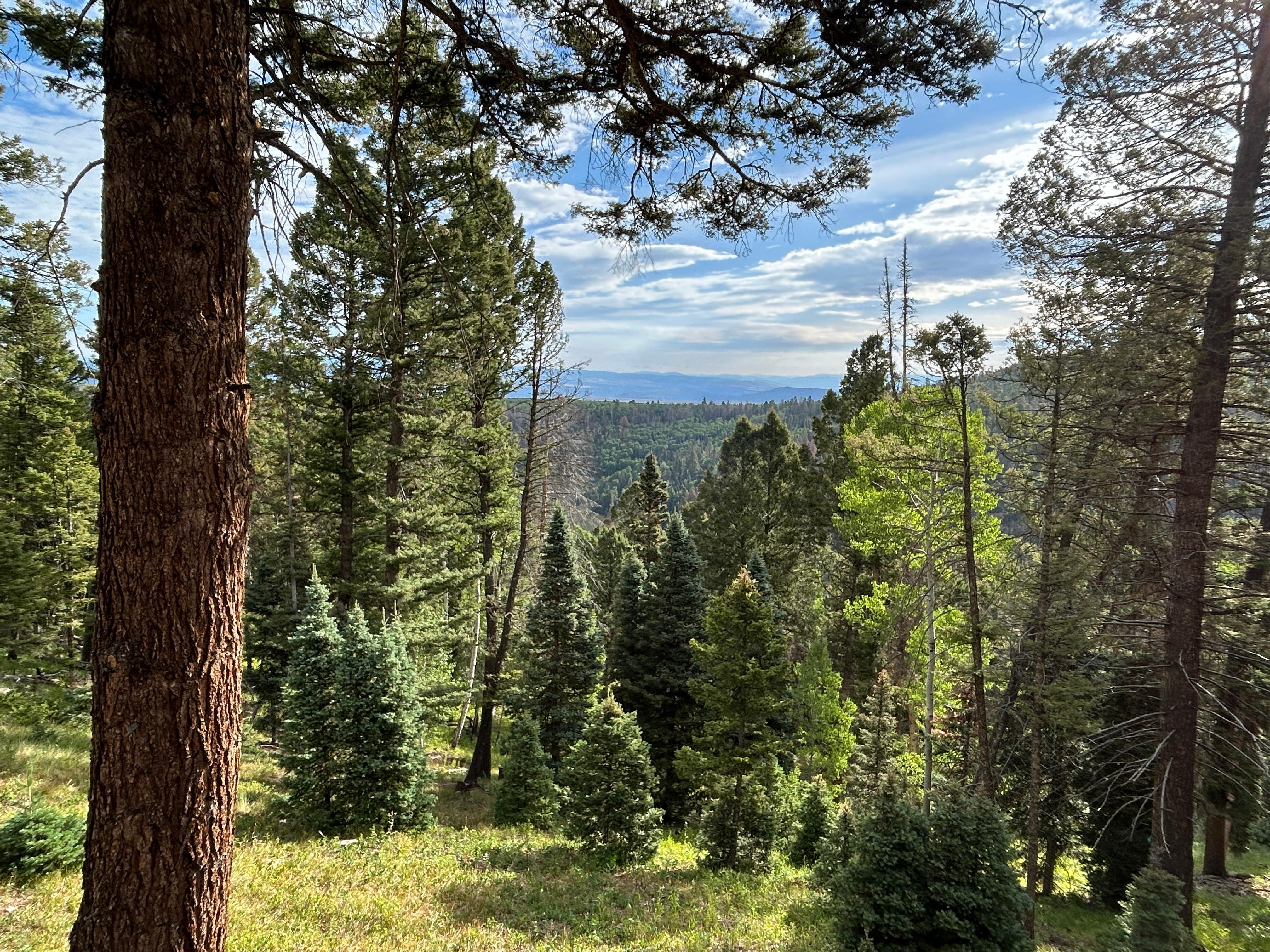 View of Black Canyon from the deck.