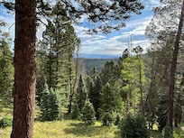 View of Black Canyon from the deck.