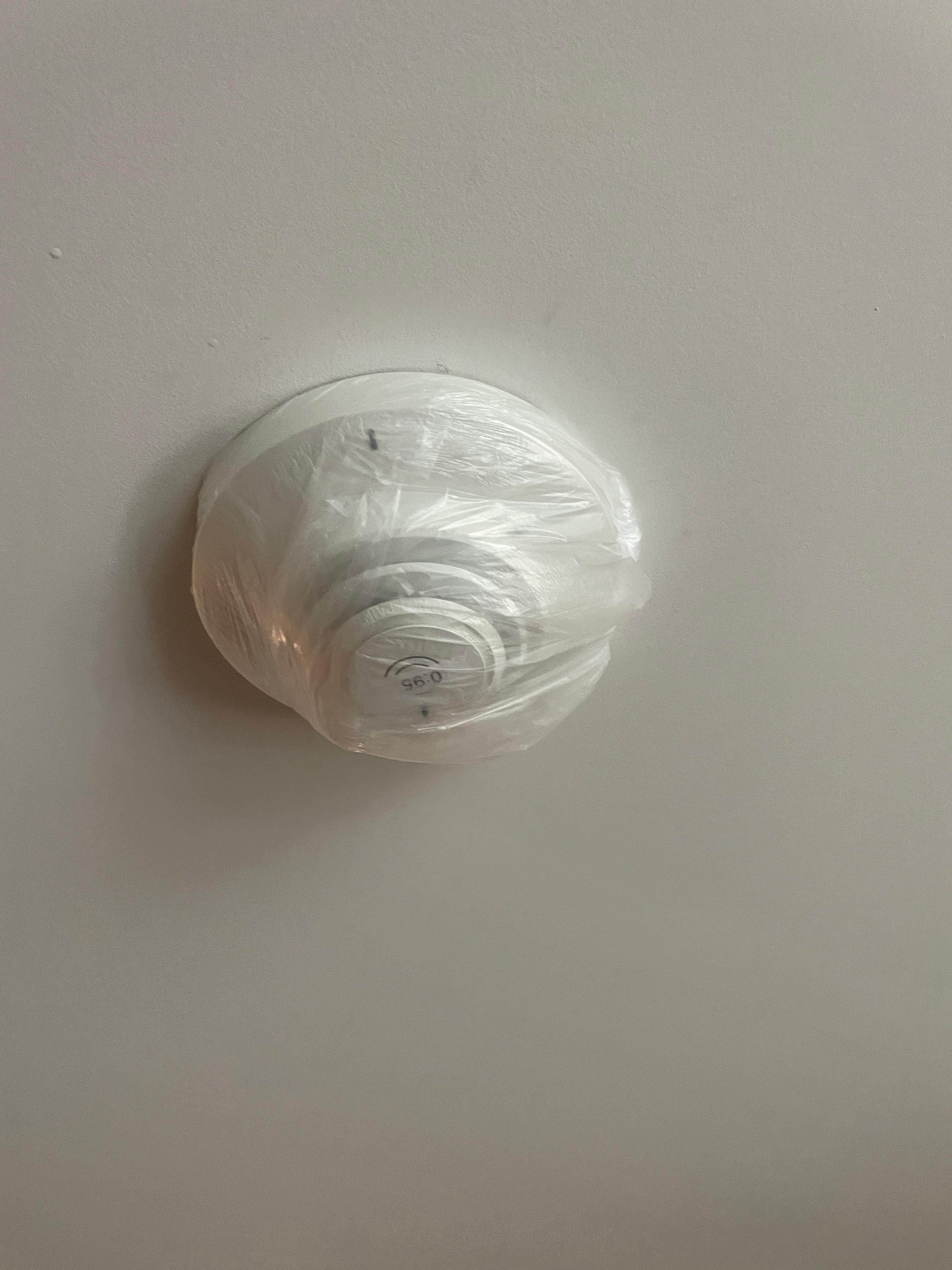 Sealed smoke detector - at least it won't wake you up!