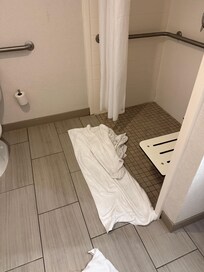 Flooding bathroom