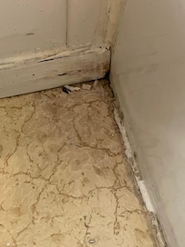 Mold/decay in bathroom