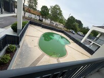 Stagnant pool water breeding bugs!