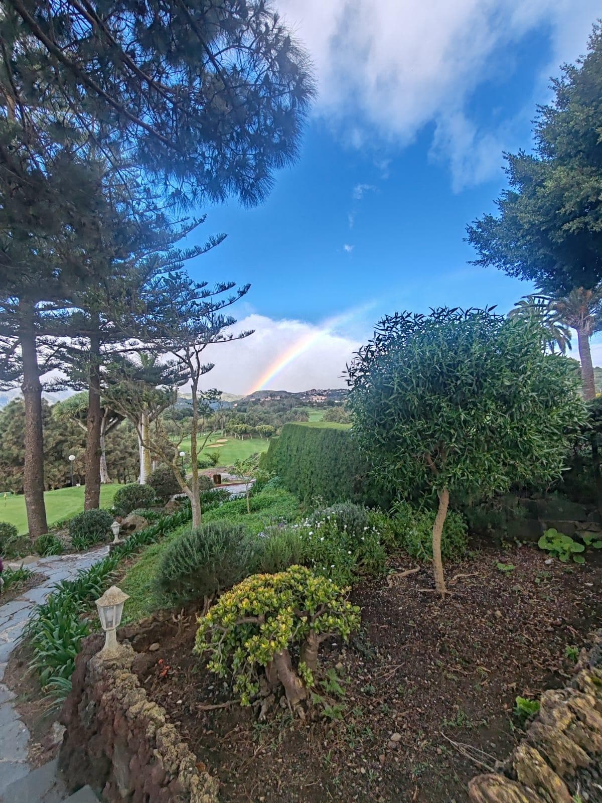 Vistas desde el hotel