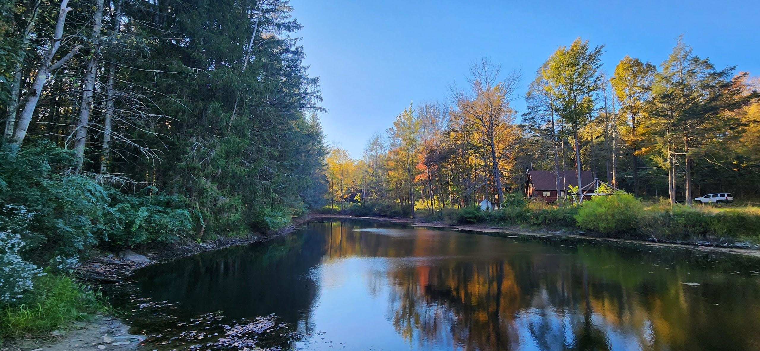 View from the bench towards the pond.