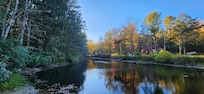 View from the bench towards the pond.