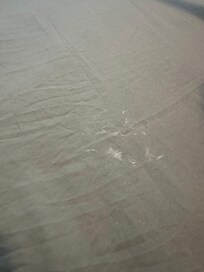 Comforter on bed