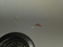 Gunk I removed from the kettle.