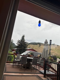 Peacocks