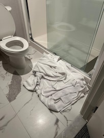 12 towels on the floor because they never came to clean roo