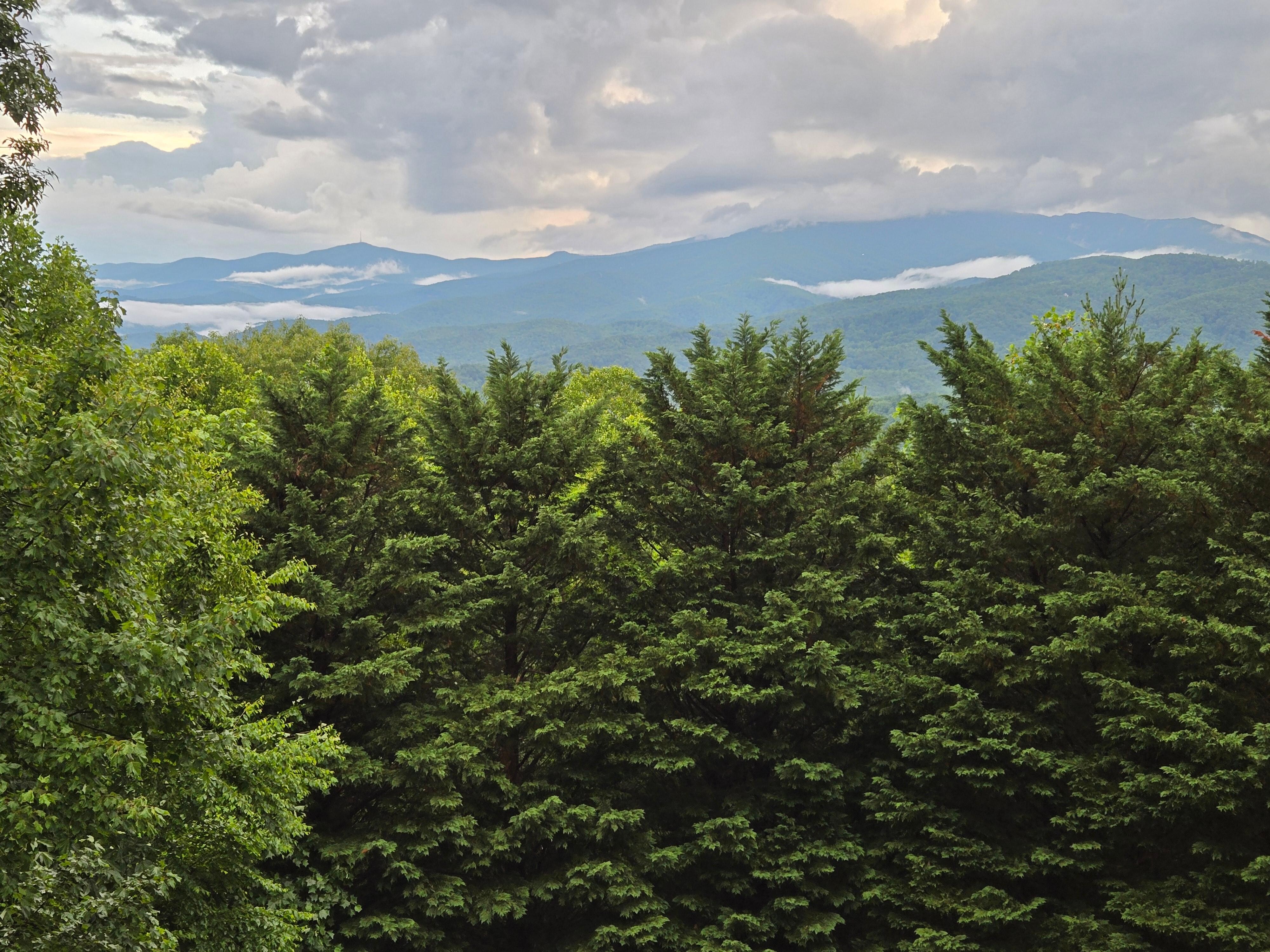 View from the deck