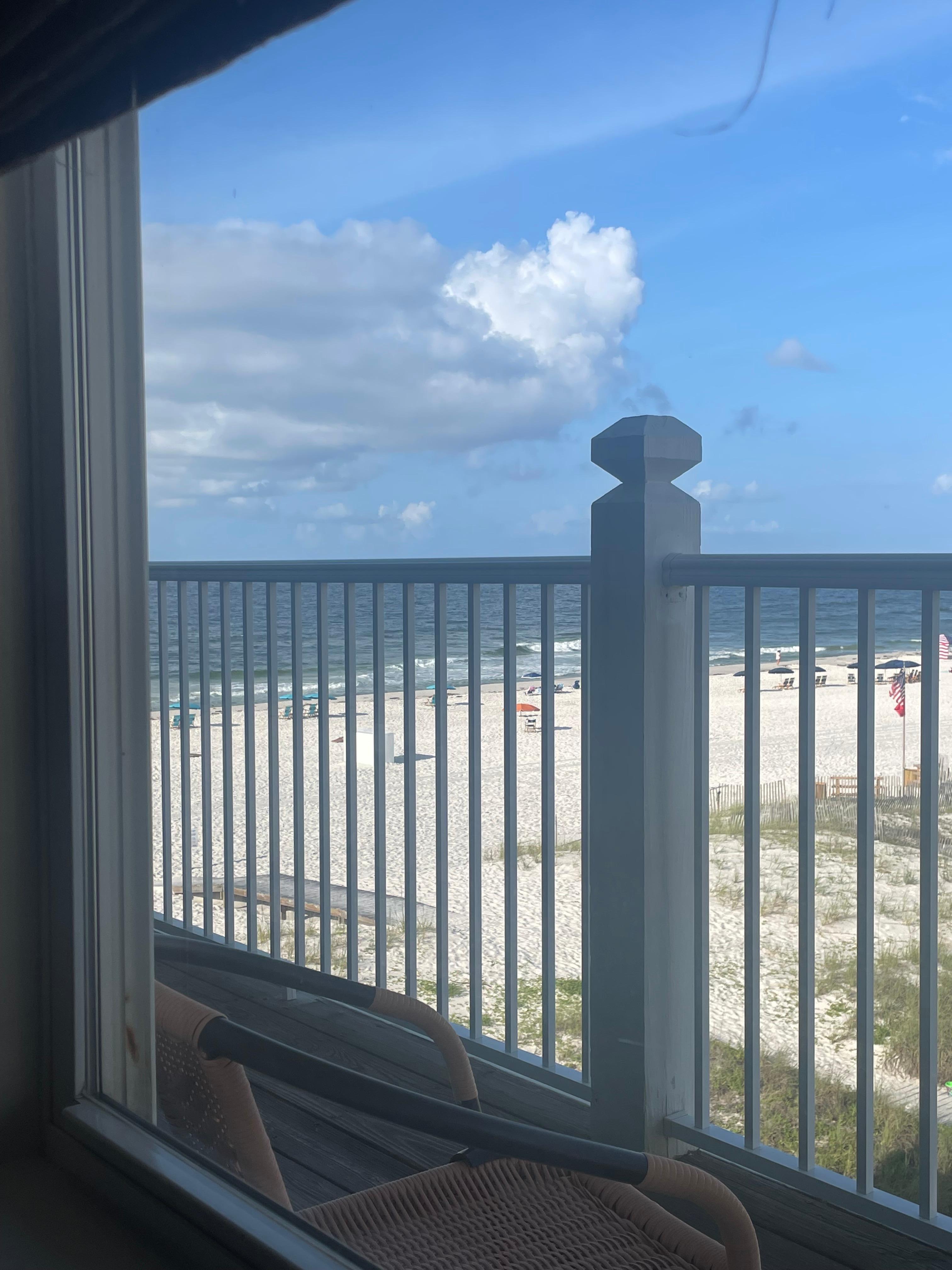 Took photo from couch looking out the window.