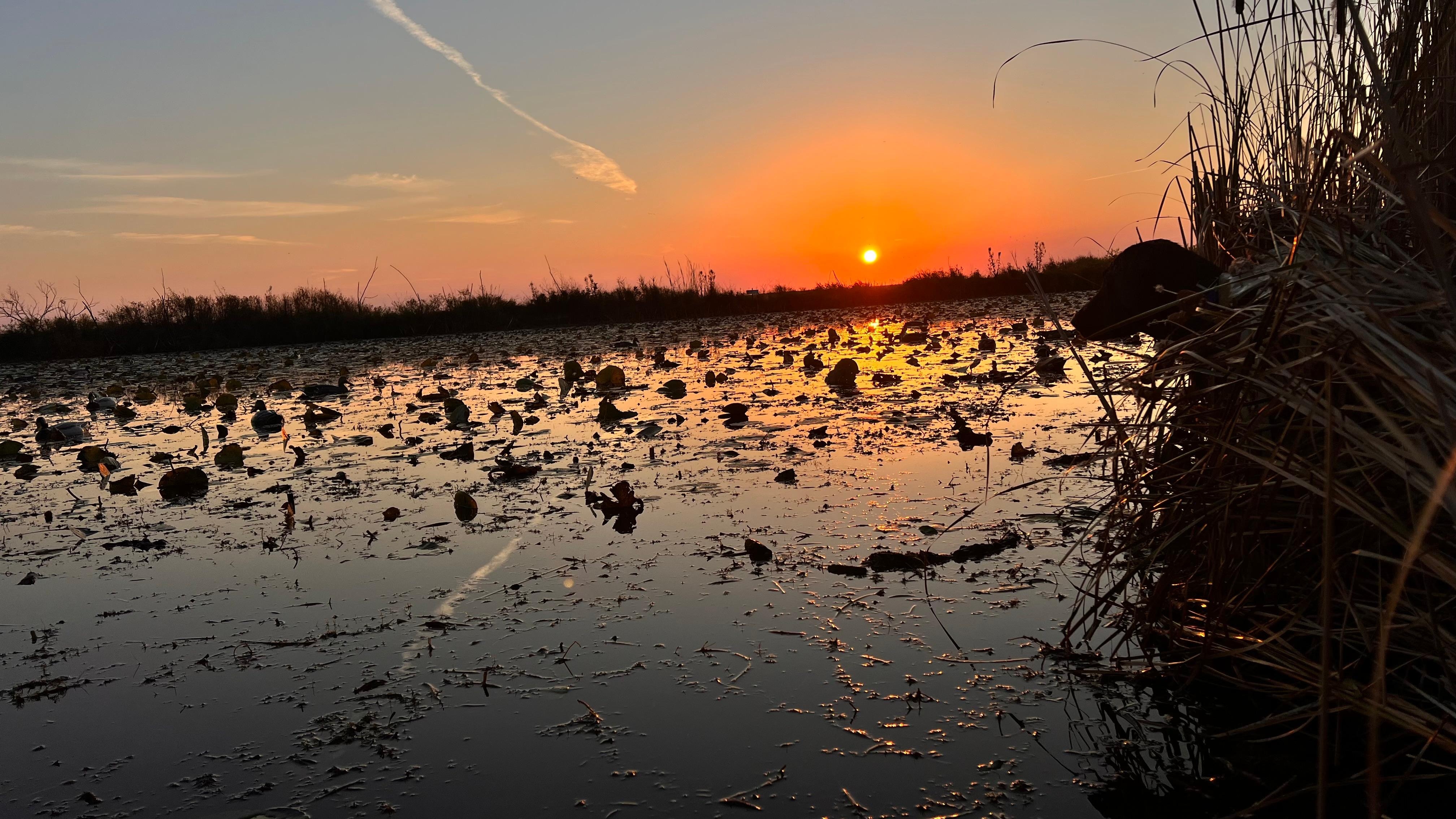 Sunrise at Nayanquing Point 