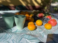 Ernte aus dem Garten - von Kaktusfeigen bis reife Kaki-Früchte