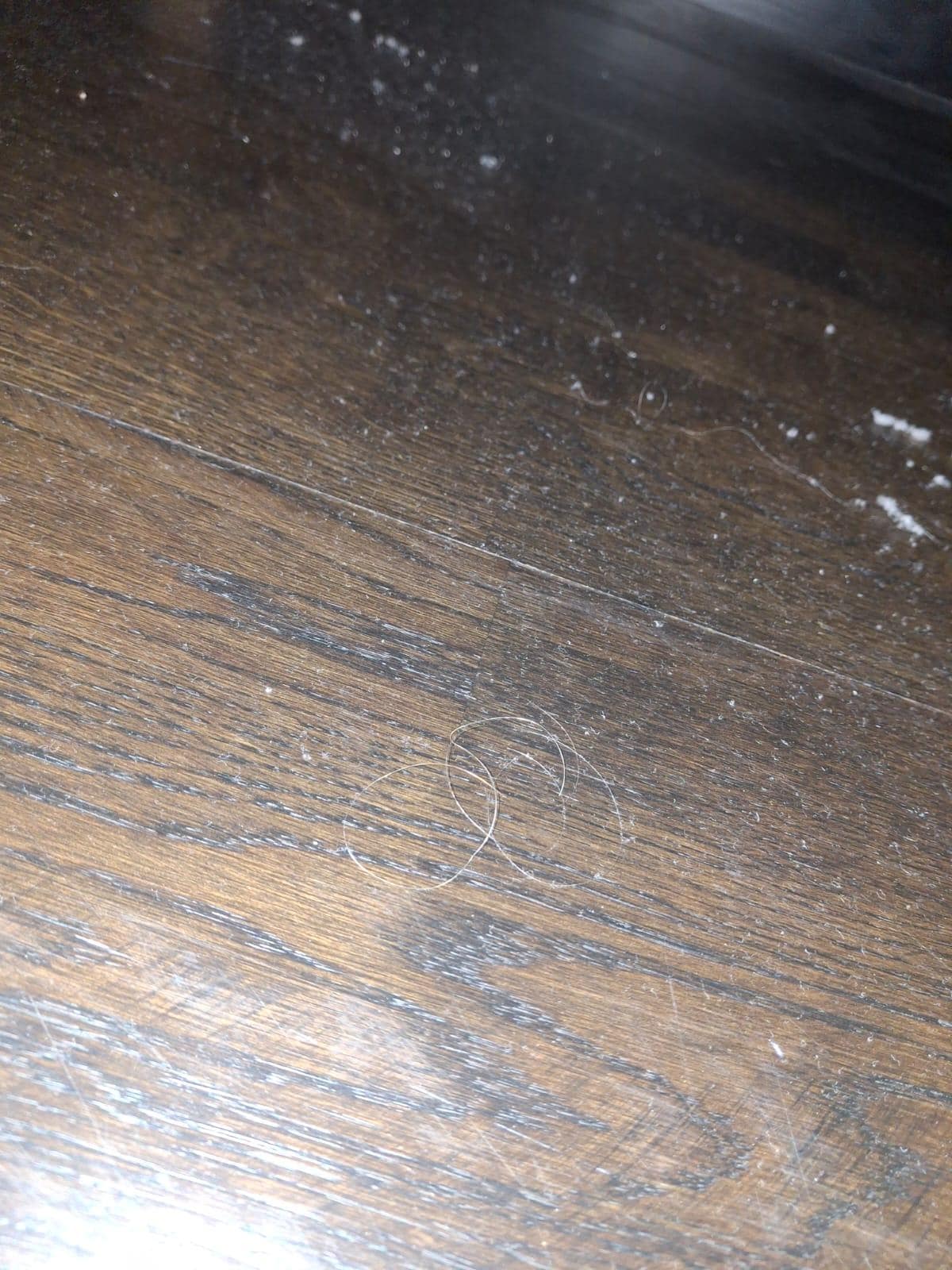 cheveux et poussière au sol