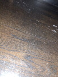 cheveux et poussière au sol