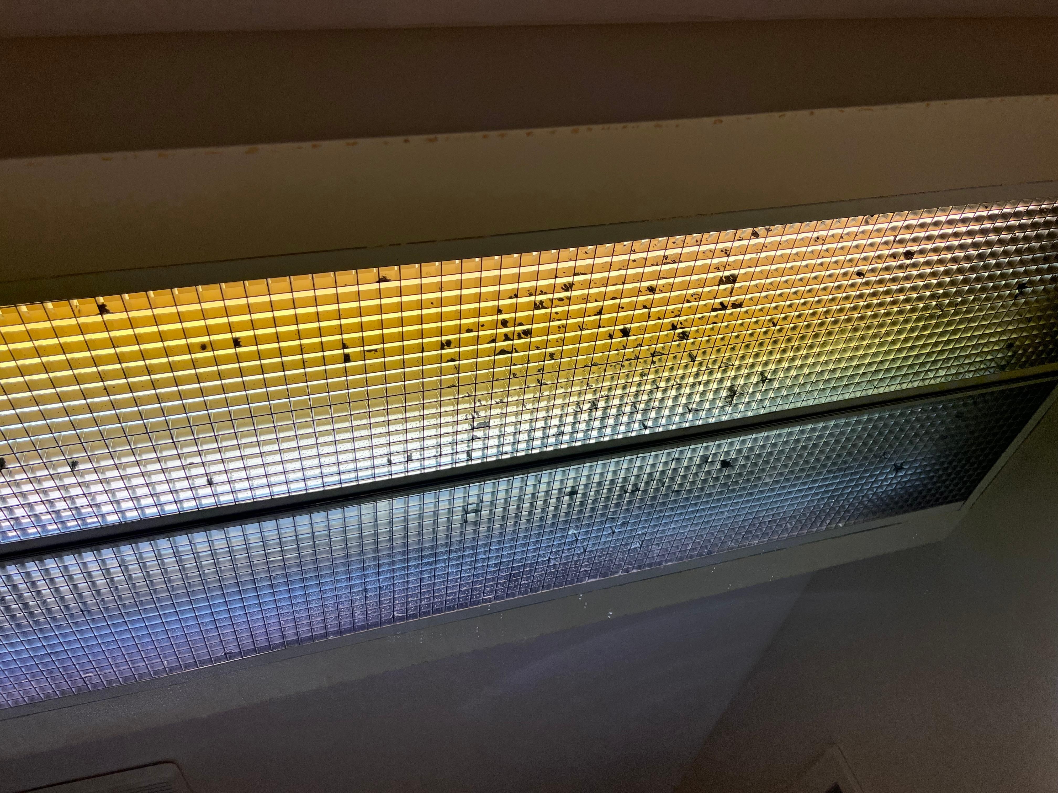 This is the filthy light in the bathroom