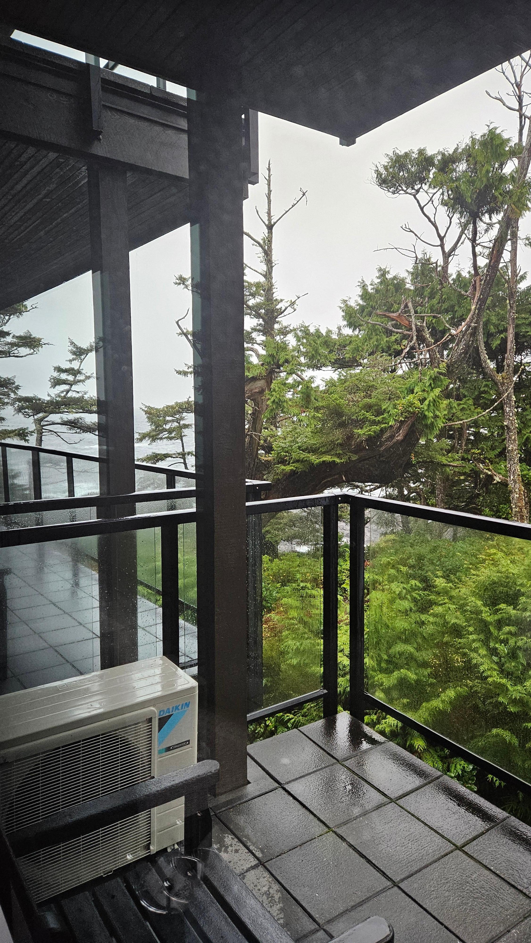 Forest side but we had a bit of an ocean view!