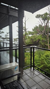 Forest side but we had a bit of an ocean view!