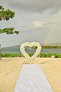 proposal setup on dream island