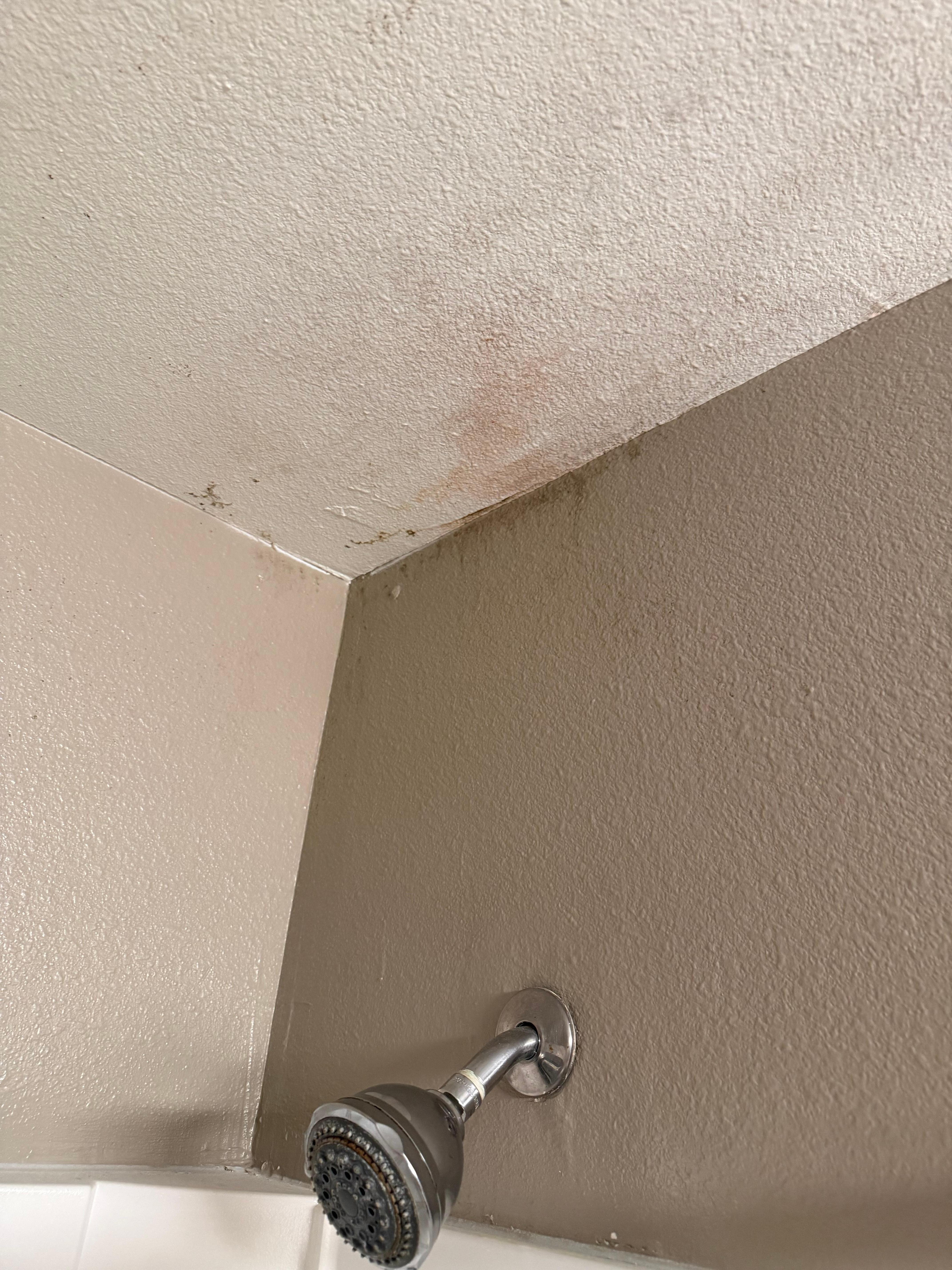 Mold (or something  gross) in shower