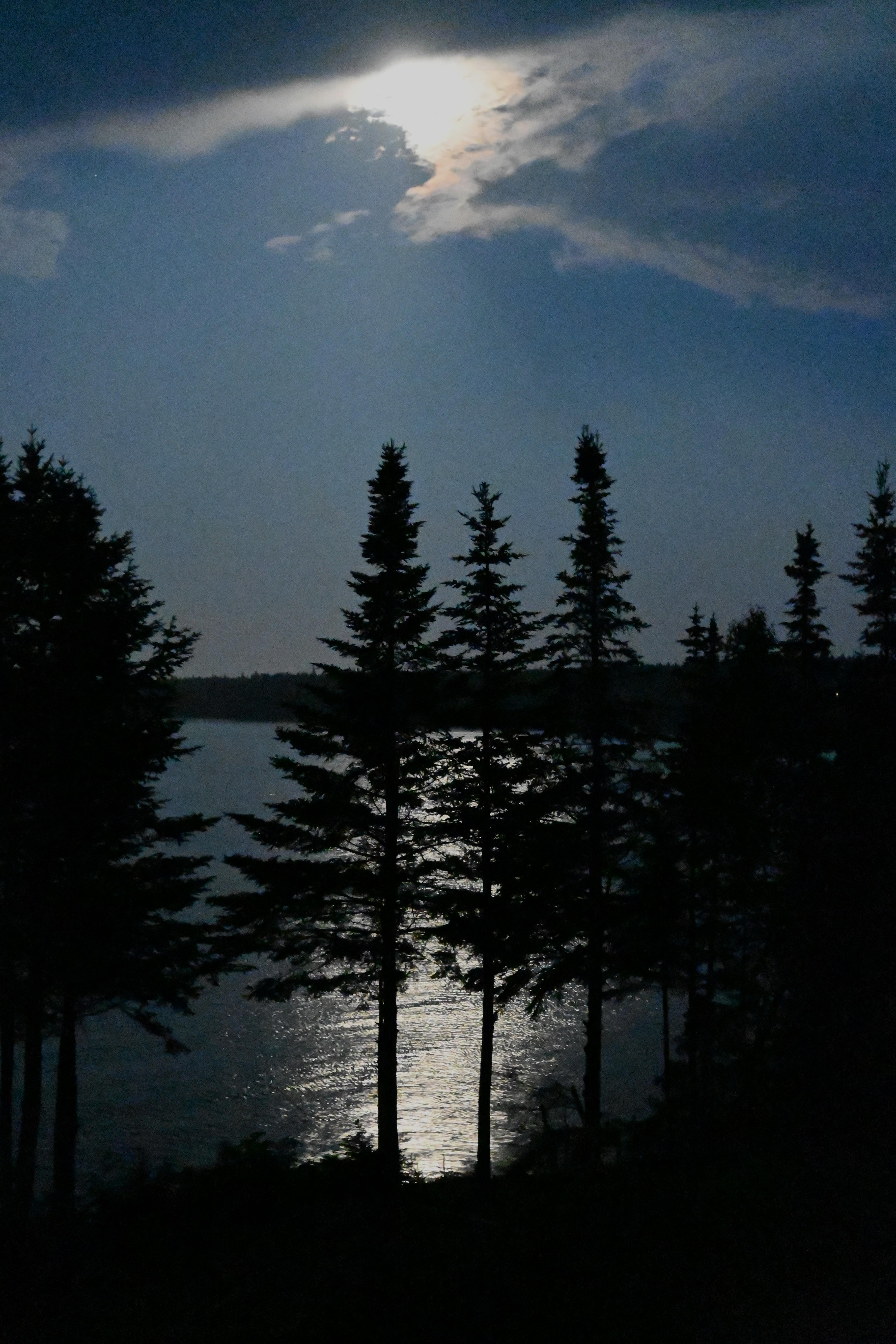 Backyard view of moon over ocean.