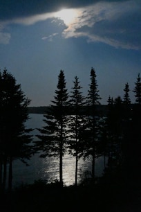 Backyard view of moon over ocean.