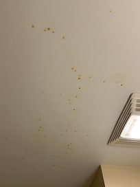 Mold stains on guest bathroom ceiling.