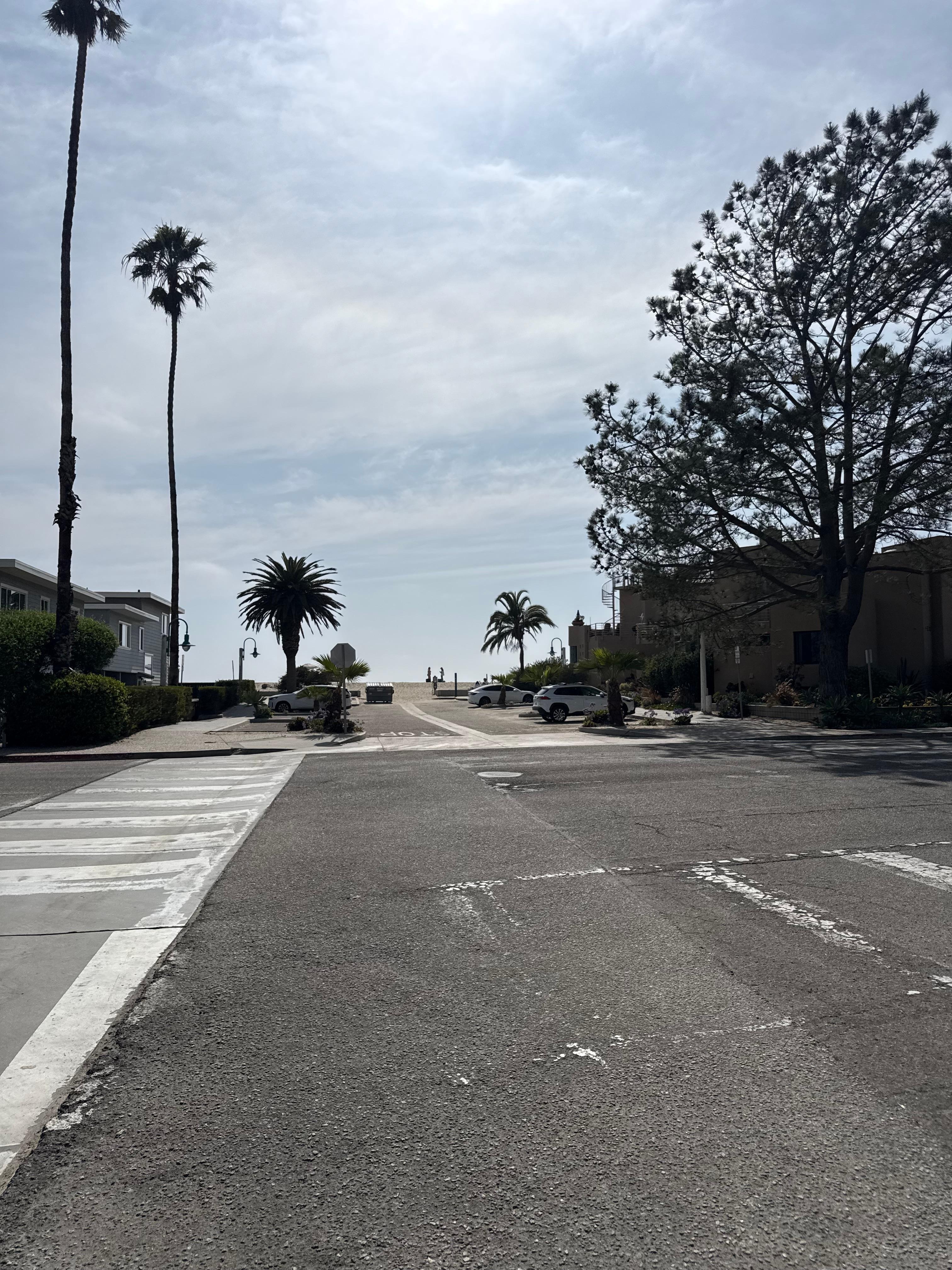 View from the steps!