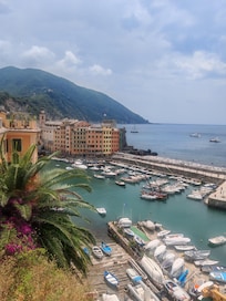 View from the Hill towards the flat