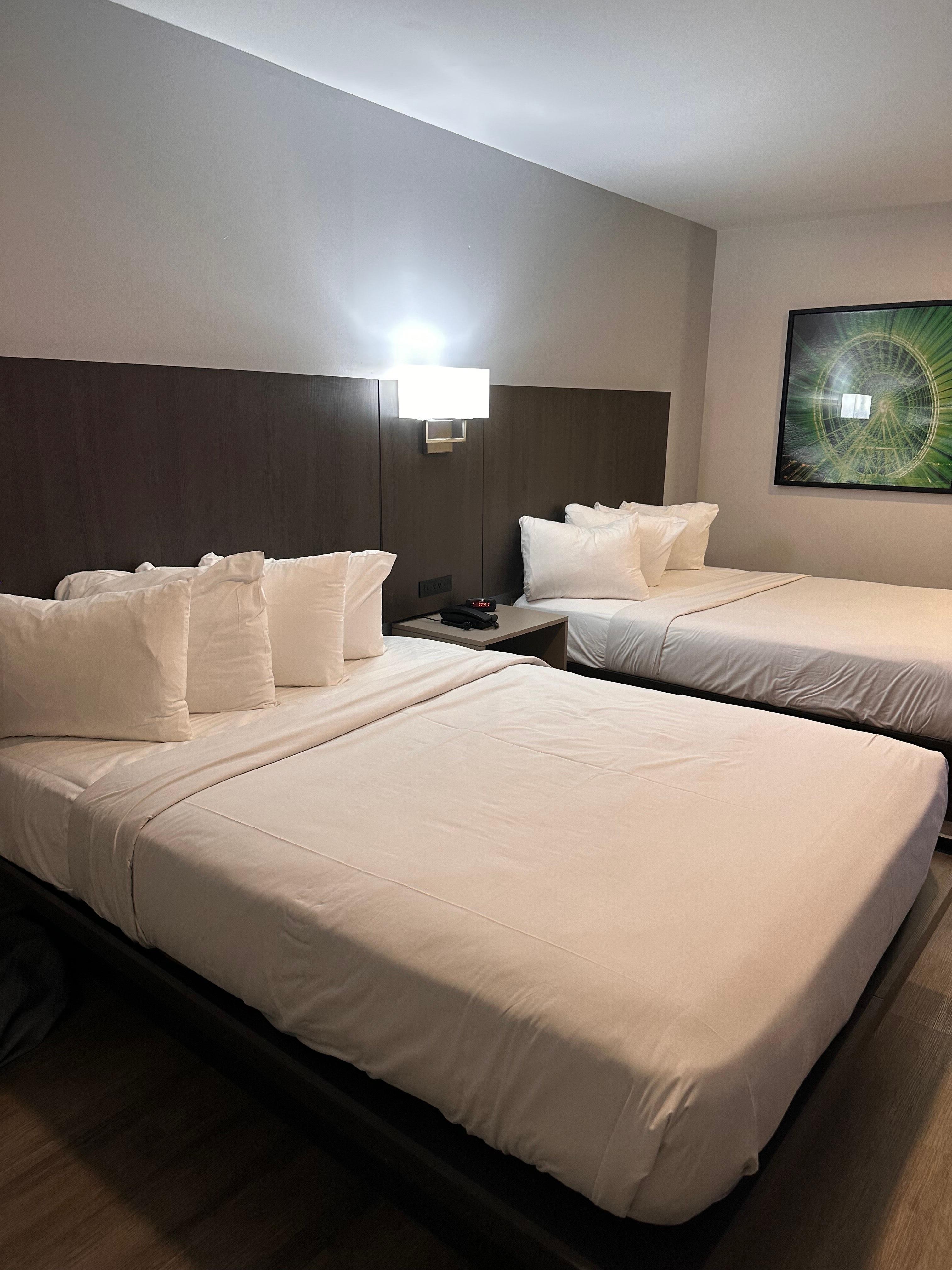 Standard bedroom, two queen beds.