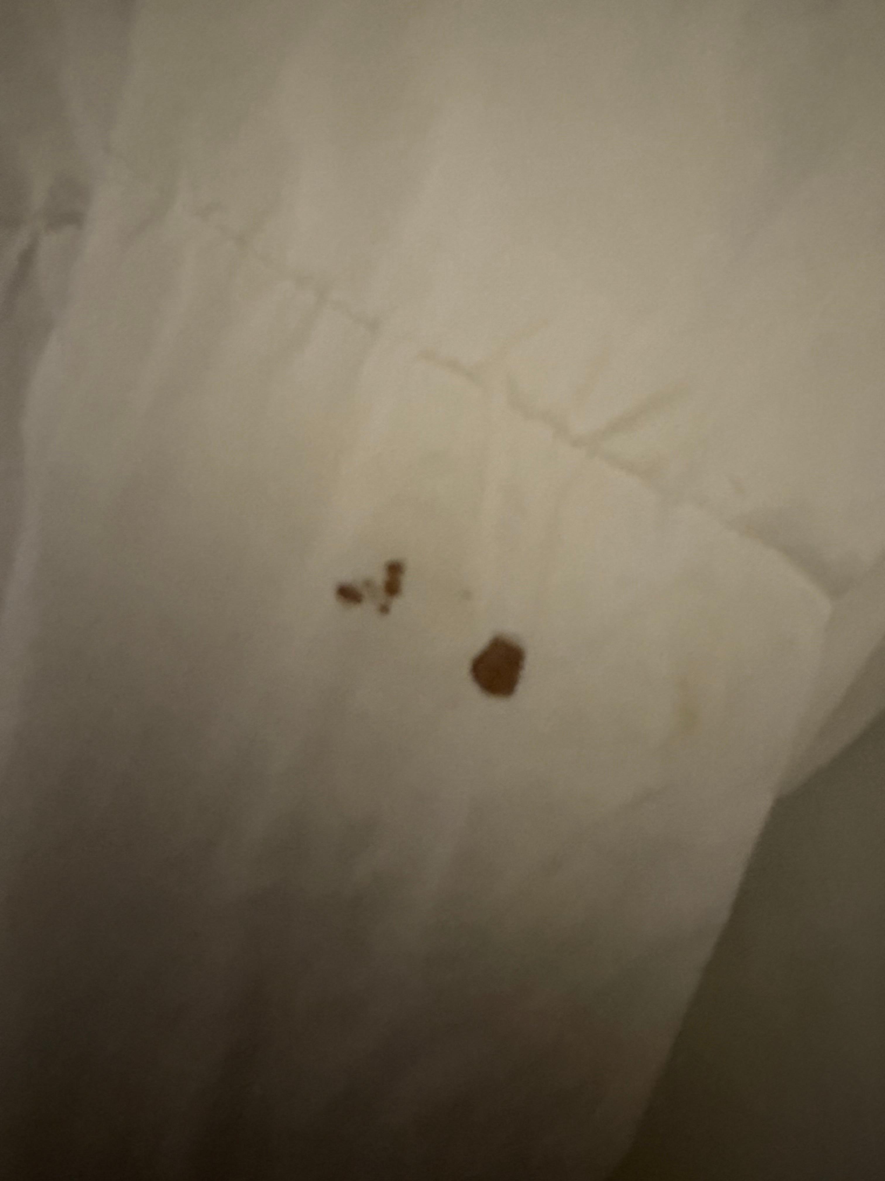 Blood on the bed linens