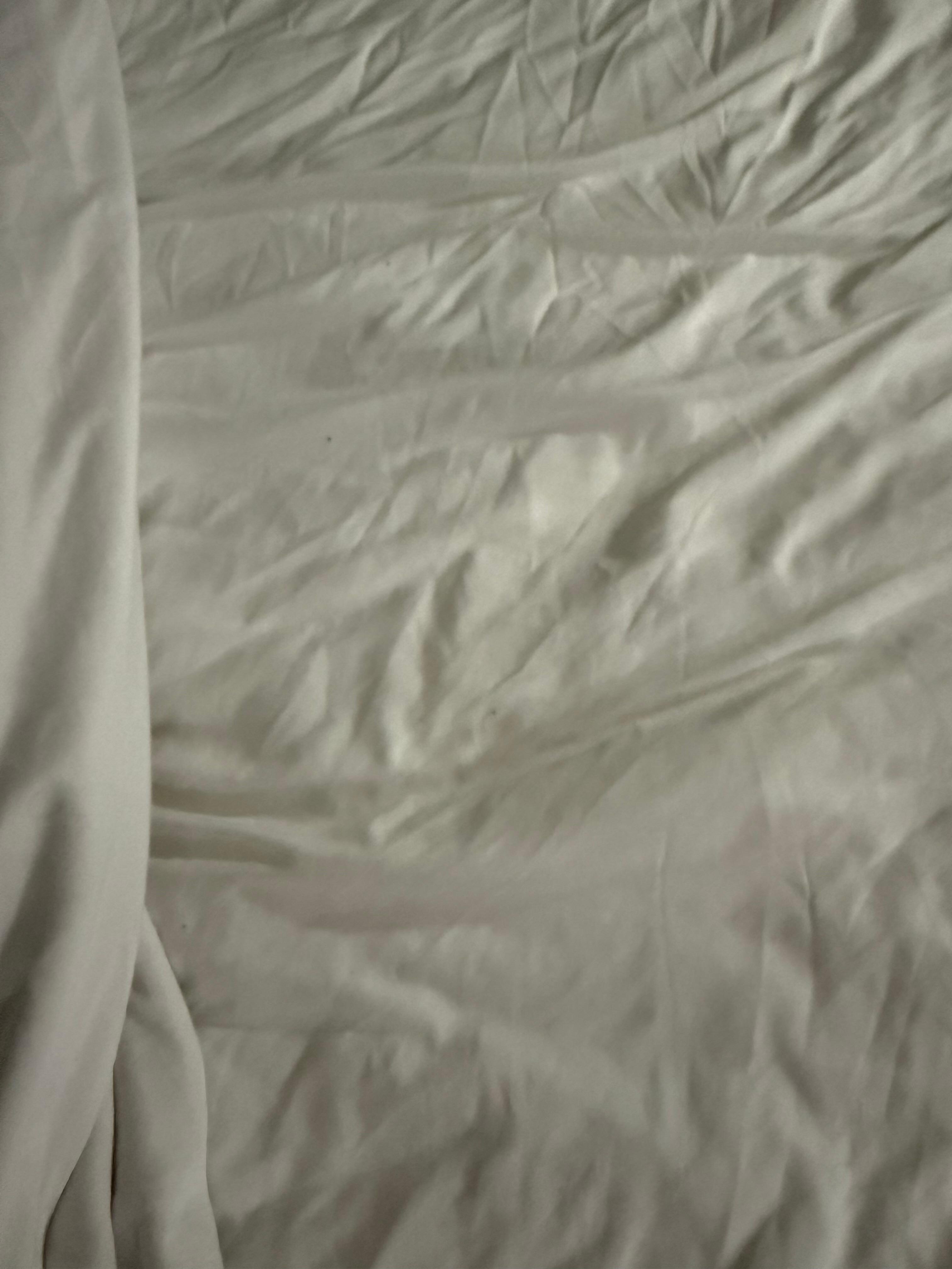 Bedbugs and black specks on the sheet. 