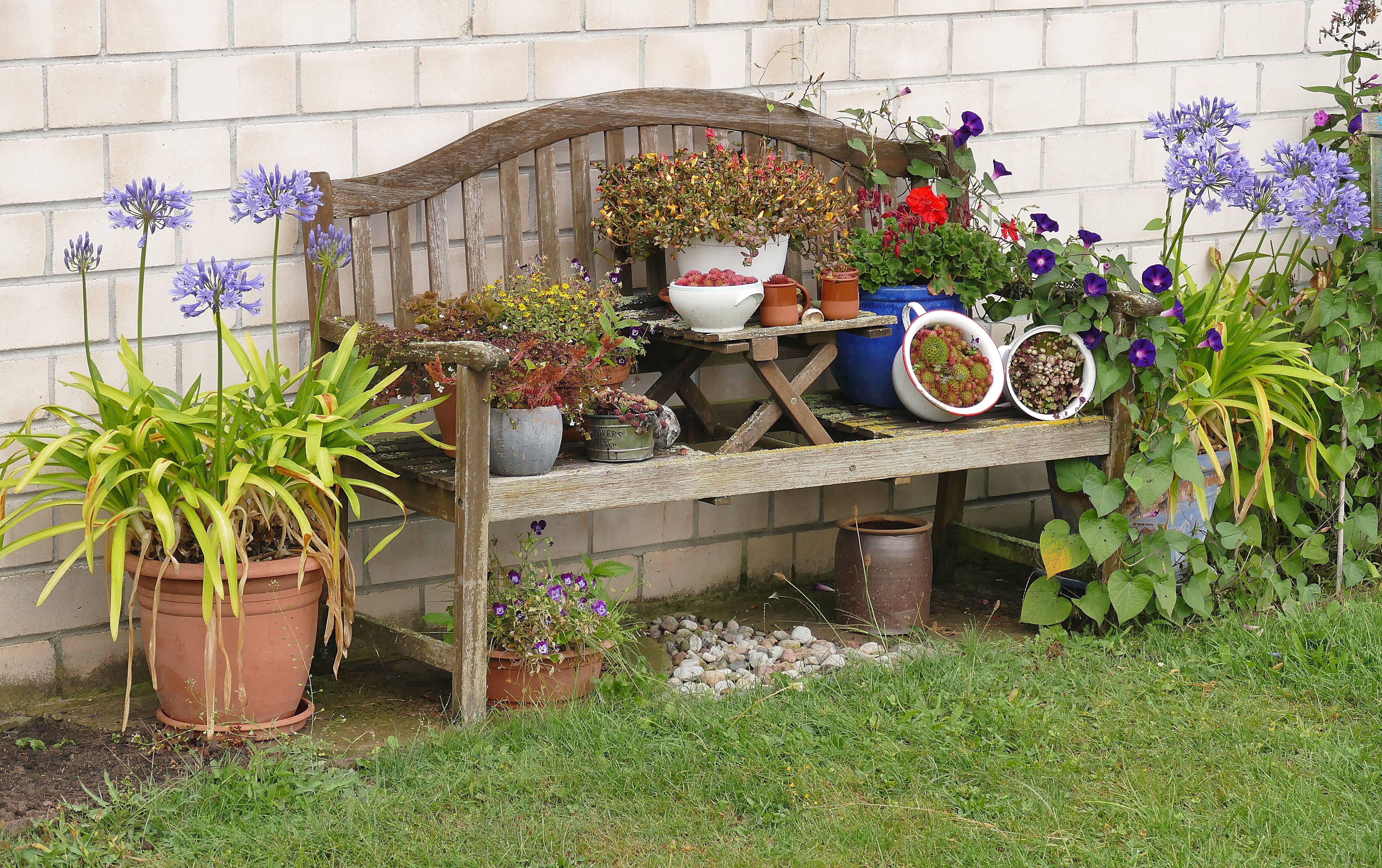 Eine Blumenbank neben dem Bungalow.