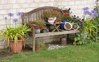 Eine Blumenbank neben dem Bungalow.