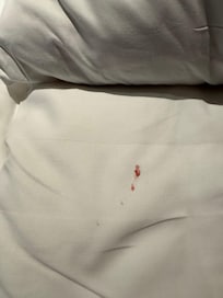 That blood was on the sheets as we walked in.