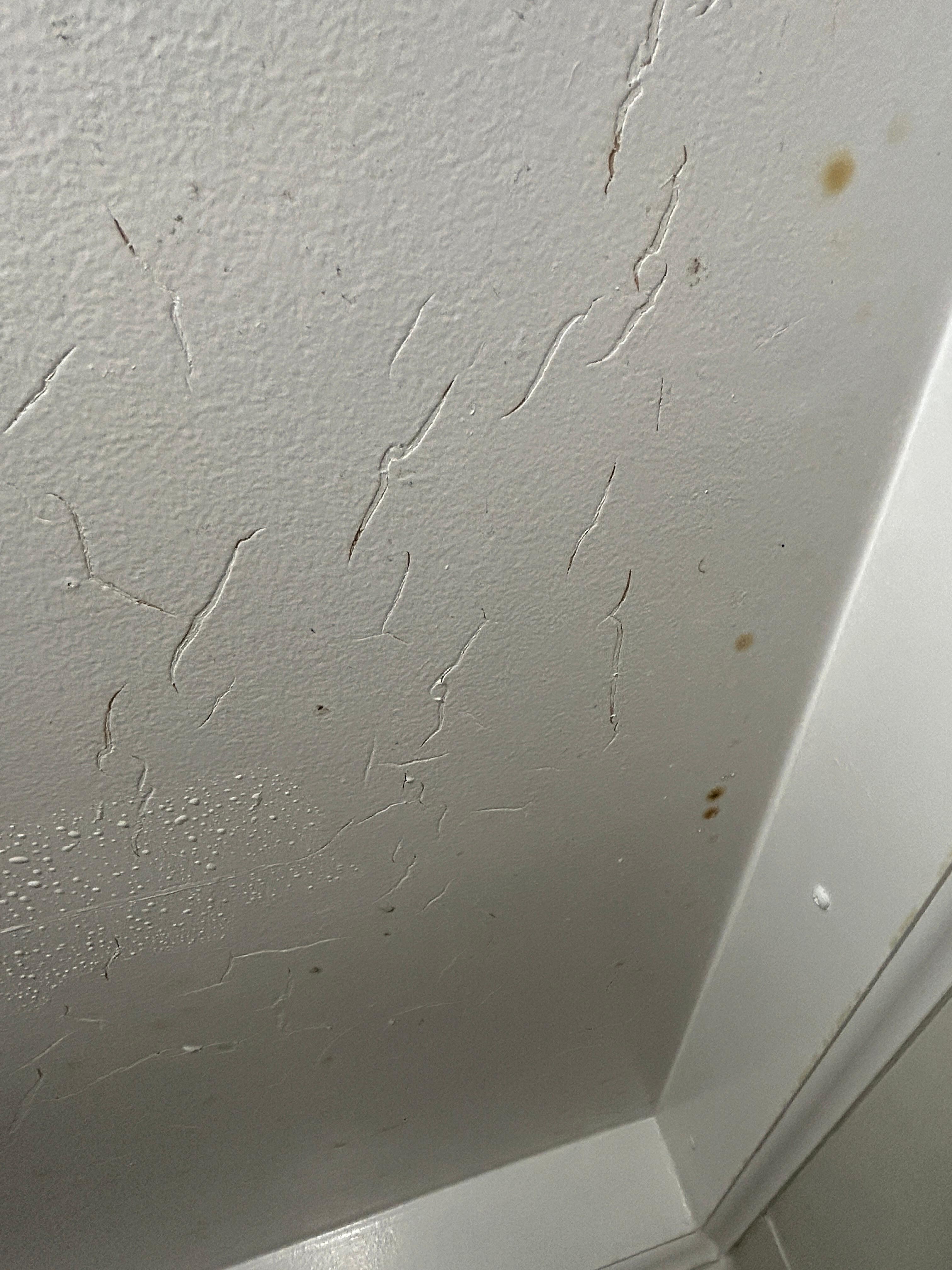 Many dark mold on ceiling