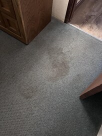 CARPETS ARE GROSS